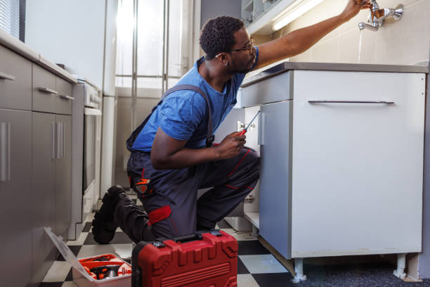 Best Toilet Repair Services  in Powers Lake, WI
